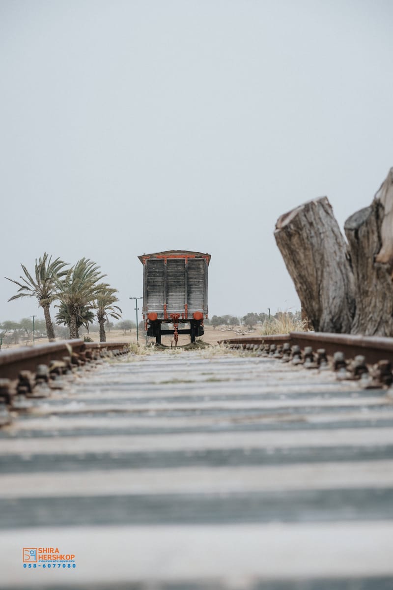 ארץ ישראל היפה 
