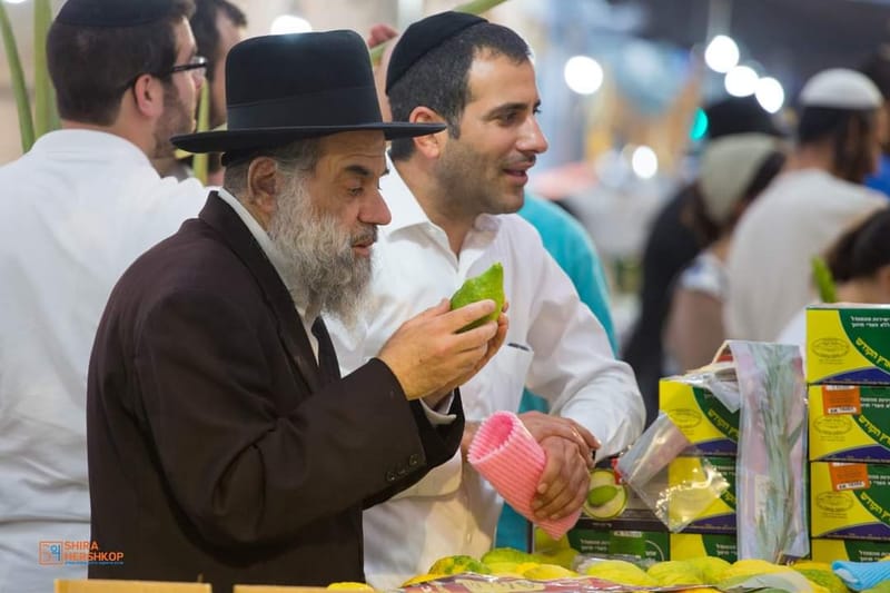 ארץ ישראל היפה 