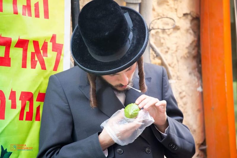 ארץ ישראל היפה 