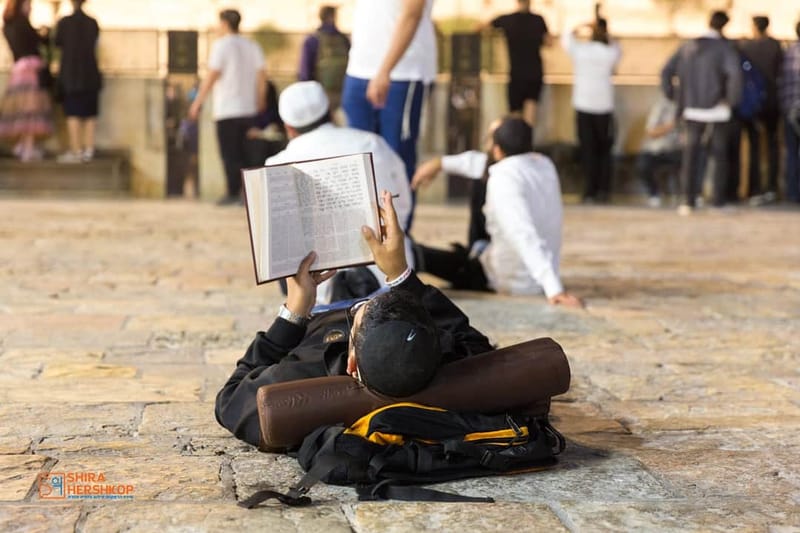 ארץ ישראל היפה 