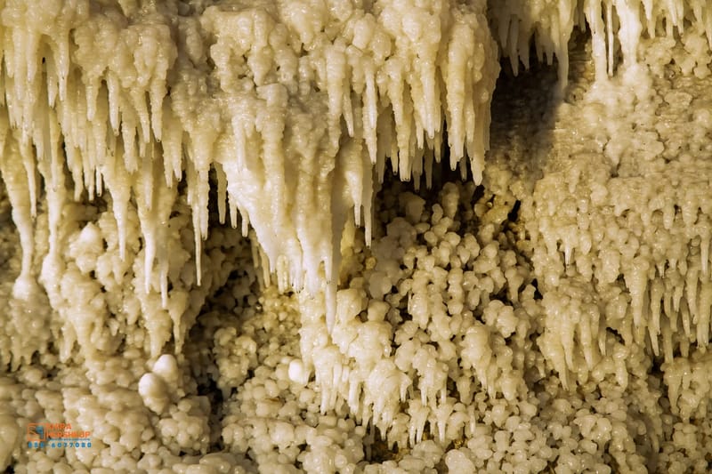 ארץ ישראל היפה 