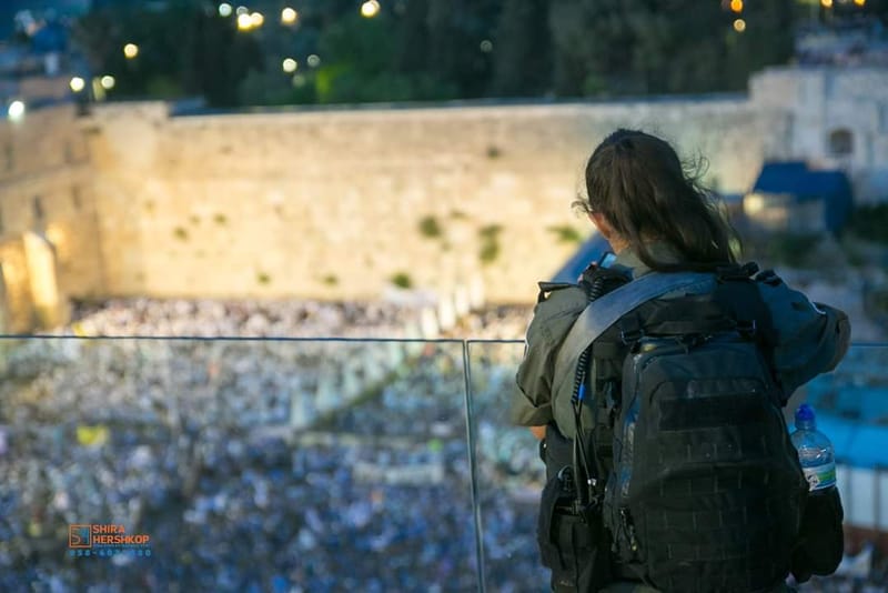 ארץ ישראל היפה 