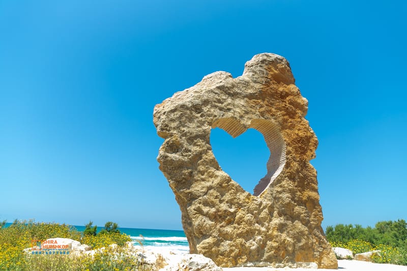 ארץ ישראל היפה 