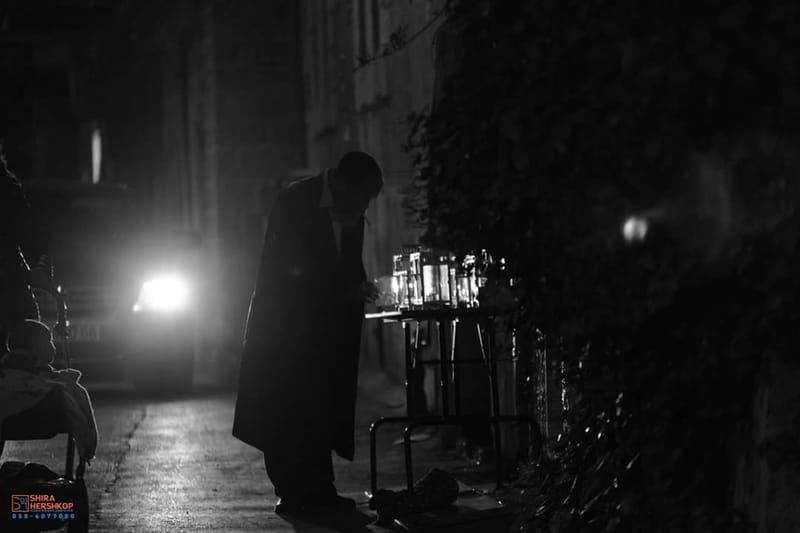 ארץ ישראל היפה 