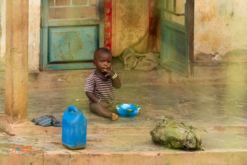 טיולי ספארי - קניה ואוגנדה 