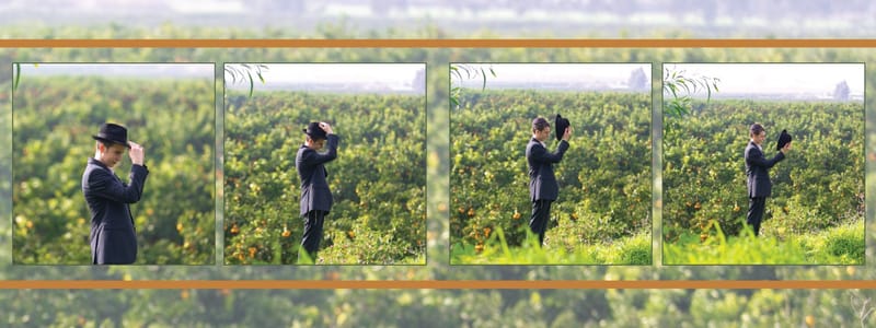 כי אין כמו לדפדף באלבום ולהיזכר. 