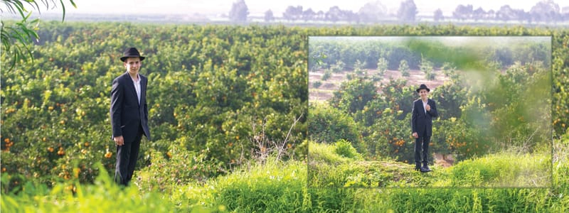 כי אין כמו לדפדף באלבום ולהיזכר. 