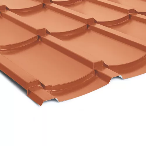 cserepeslemez-hodfarkú