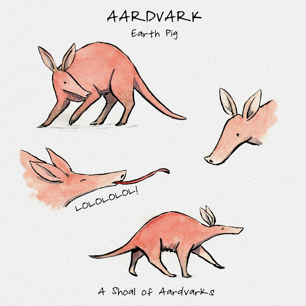 Aardvark