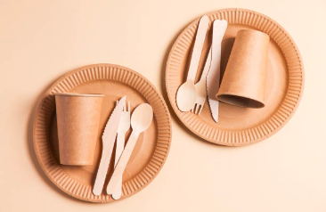 Reusable & Disposable Tableware Things to Consider this Australia Day