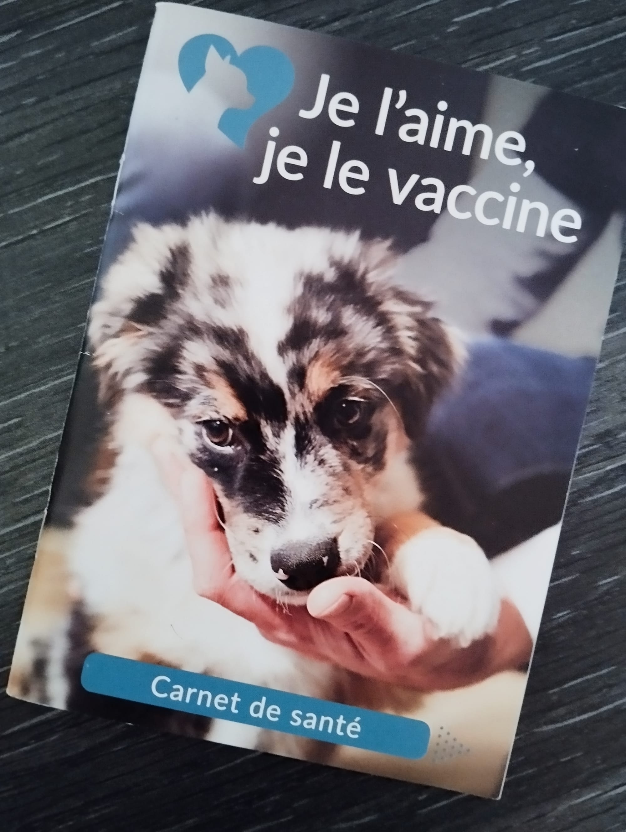 Et la vaccination ?