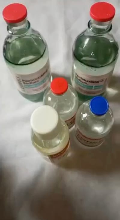 Köp Nembutal eller pentobarbital i Sverige.