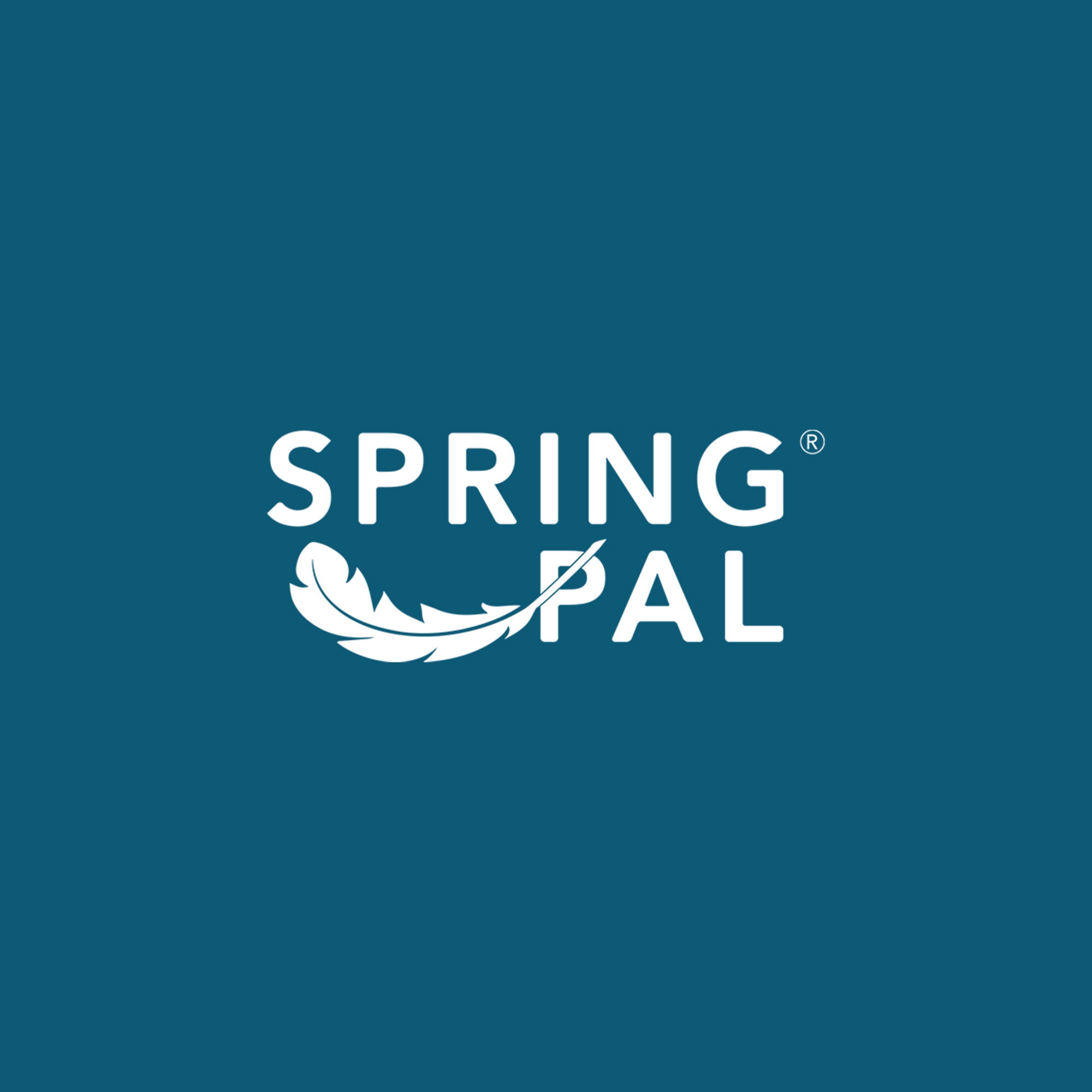 KPI Report for Spring Pal YouTube