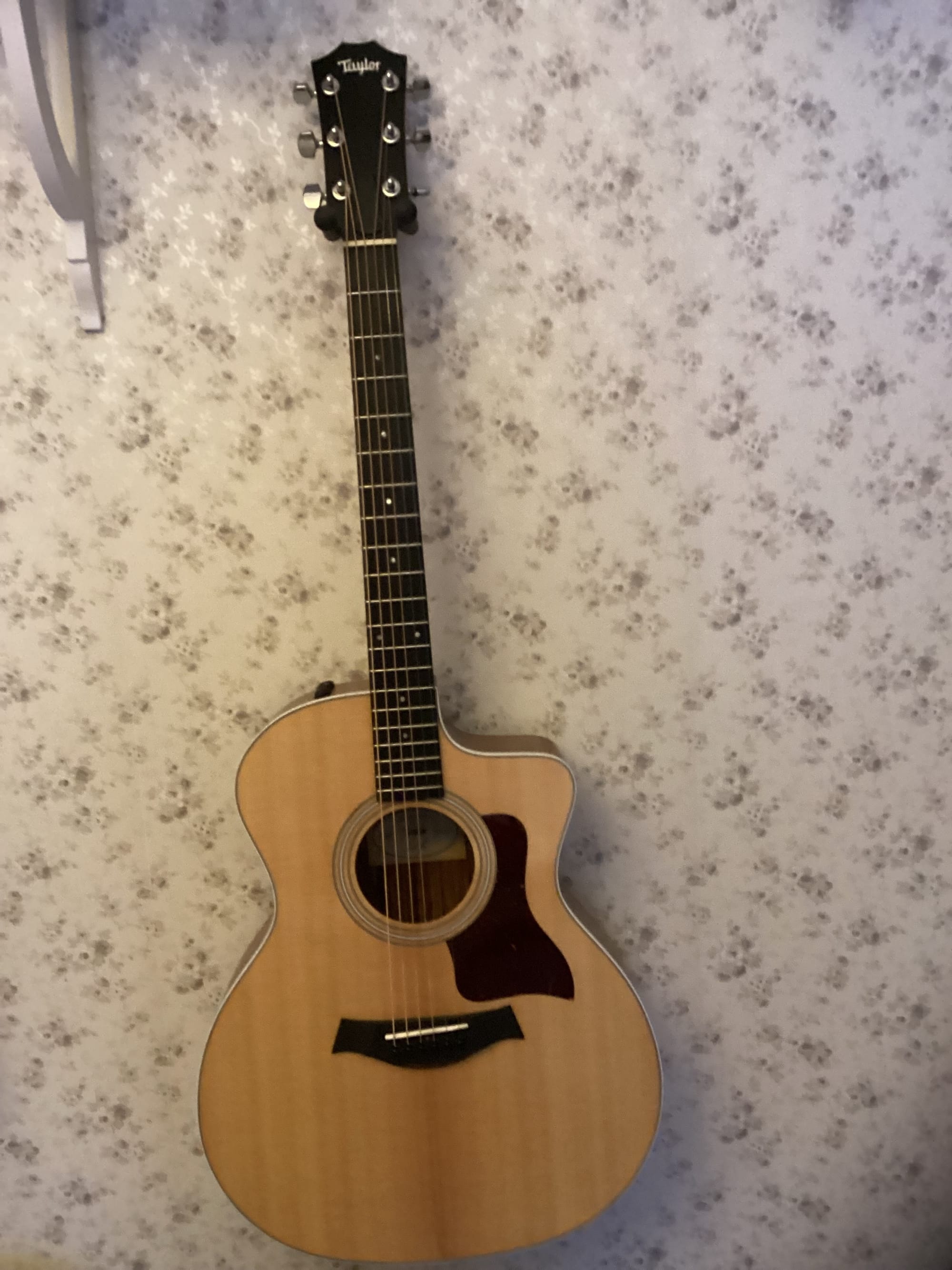 Taylor 200 series