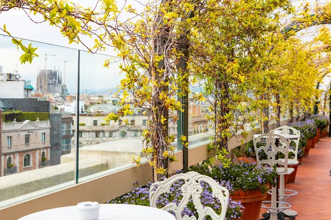 CHALET EL PALACE - ROOFTOP GARDEN