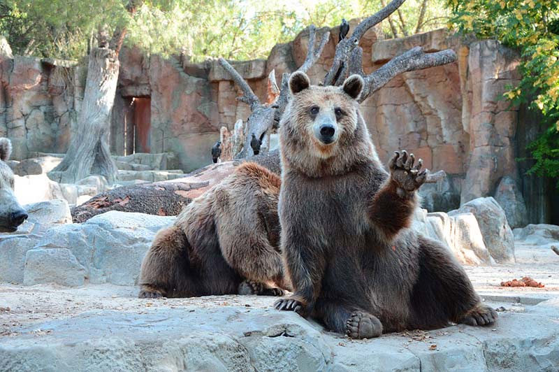 Le zoo de Barcelone