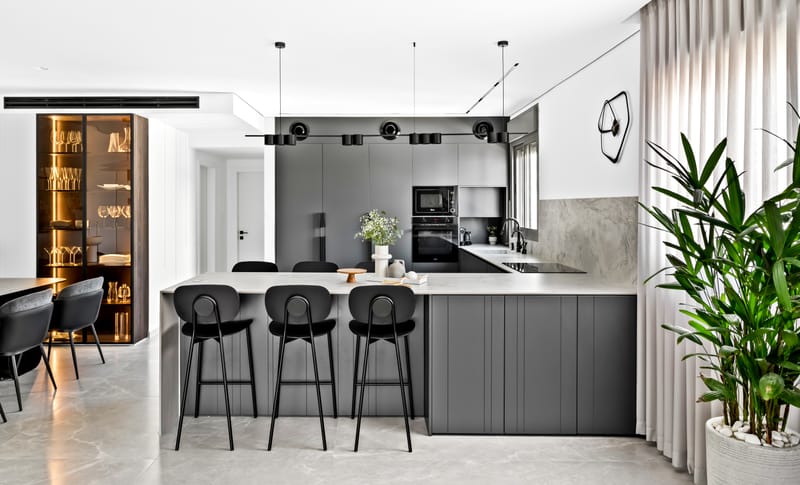 פנטהאוז שכונת הפארק 