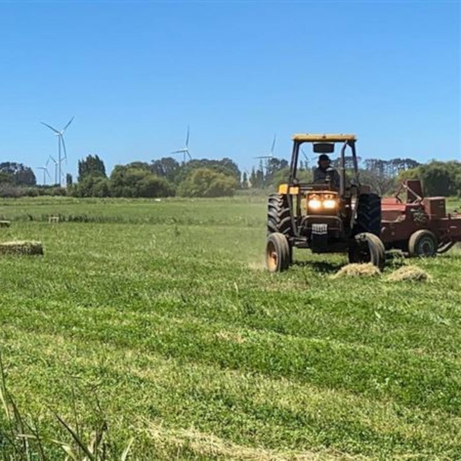 VENDE espectacular predio agrícola con casa impecable en Los Ángeles, Región del Bio Bío.