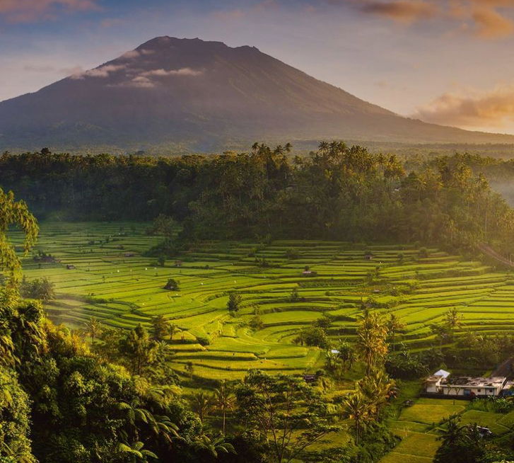 Land Lease & Freehold