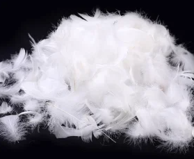 Down to Earth Elegance The Enchanting Story of Goose Down Feathers