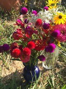 Cut Flowers, Herbs and Select Produce