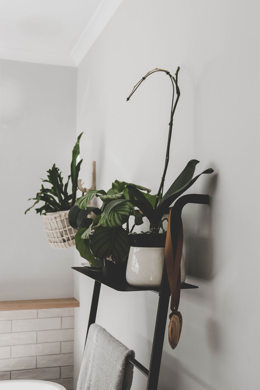 Residential Renovation and addition _ Stellenbosch