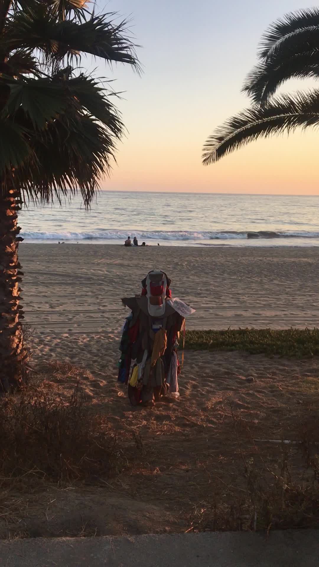 The Traveler, EE.UU., 2019