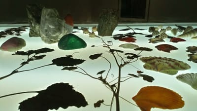 ArtForum International USA_Pablo La Padula_April 26, 2021