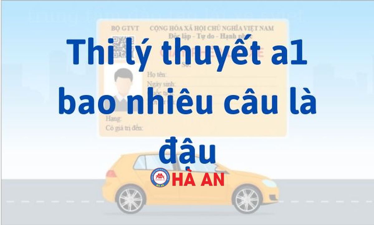 Bước Chân Đầu Tiên Trong Hành Trình Lái Xe Hạng A1: Cân Nhắc về Số Câu Hỏi và Mẹo Thi