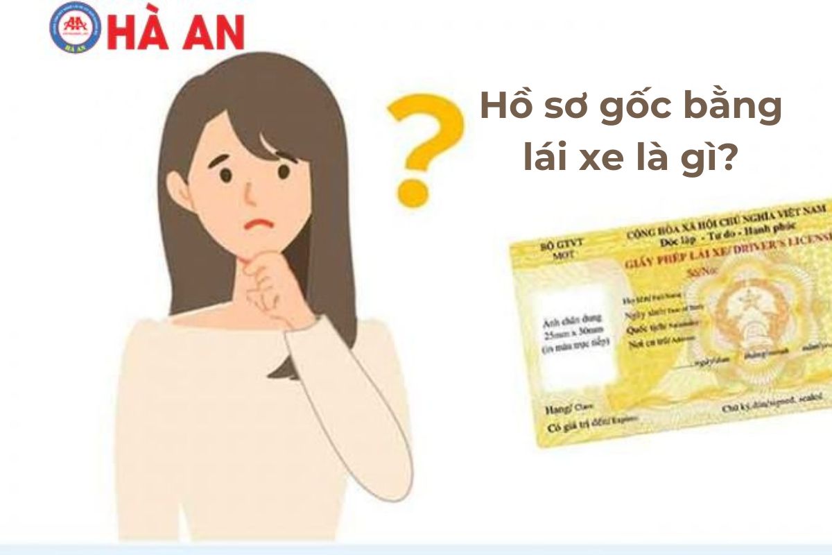 Tất Tần Tật Về Hồ Sơ Gốc Bằng Lái Xe: Tầm Quan Trọng và Thủ Tục Cấp Lại