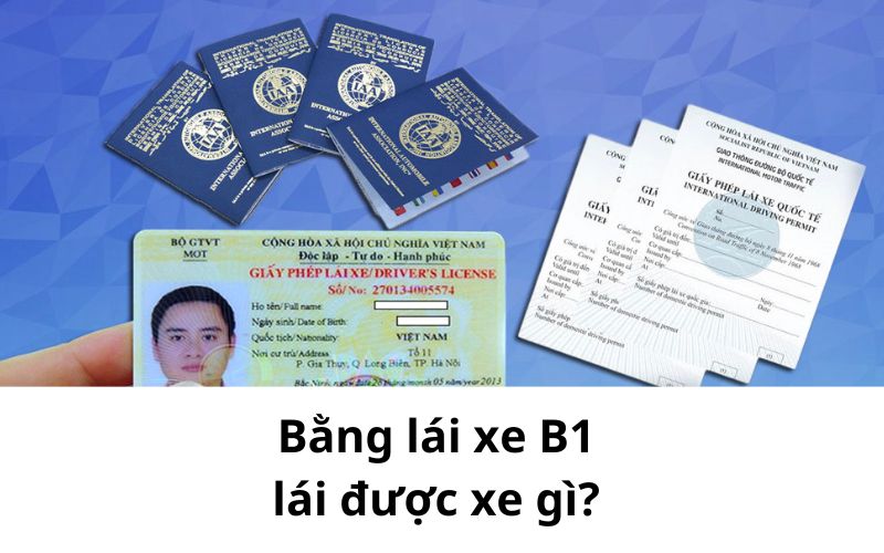 Tim hieu bang lai xe B1 lai duoc xe gi va co thoi han bao lau