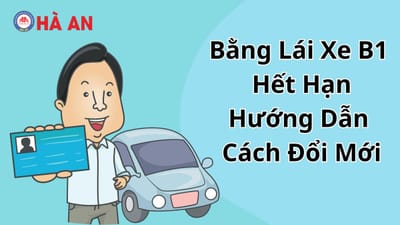 Bang Lai Xe B1 Het Han: Huong Dan Cach Doi Moi