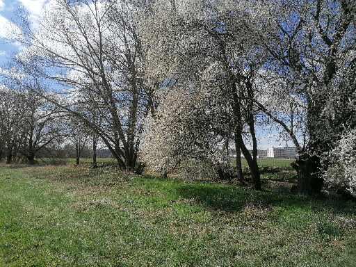 Slow walk and talk in der Natur