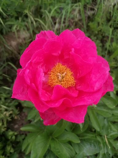 Individuelle Angebote