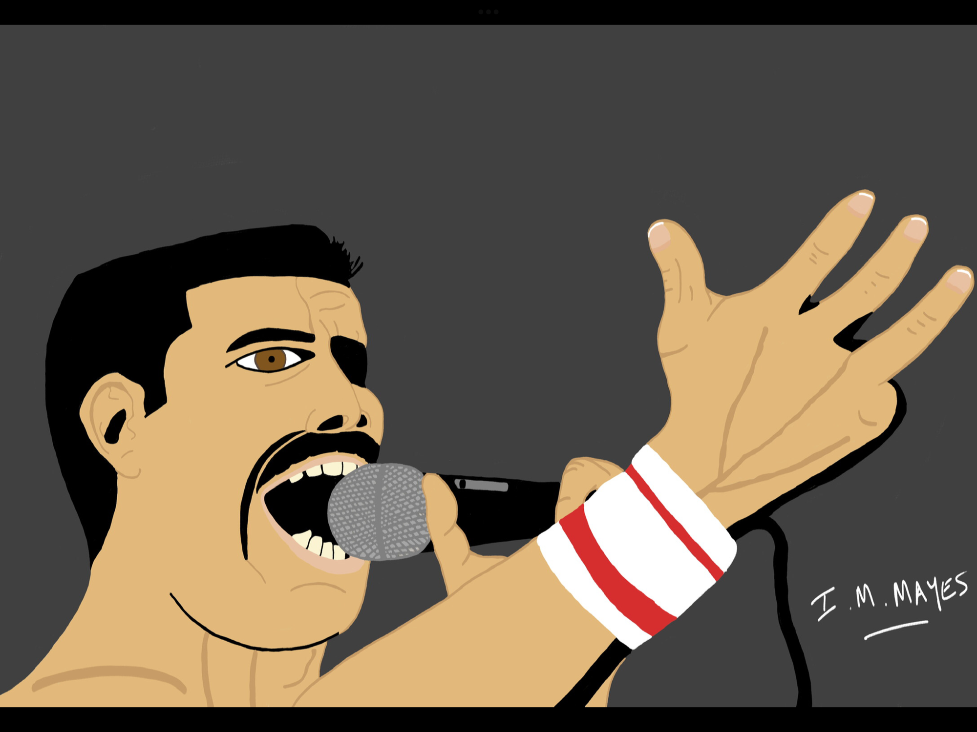 Freddie Mercury / Queen singer