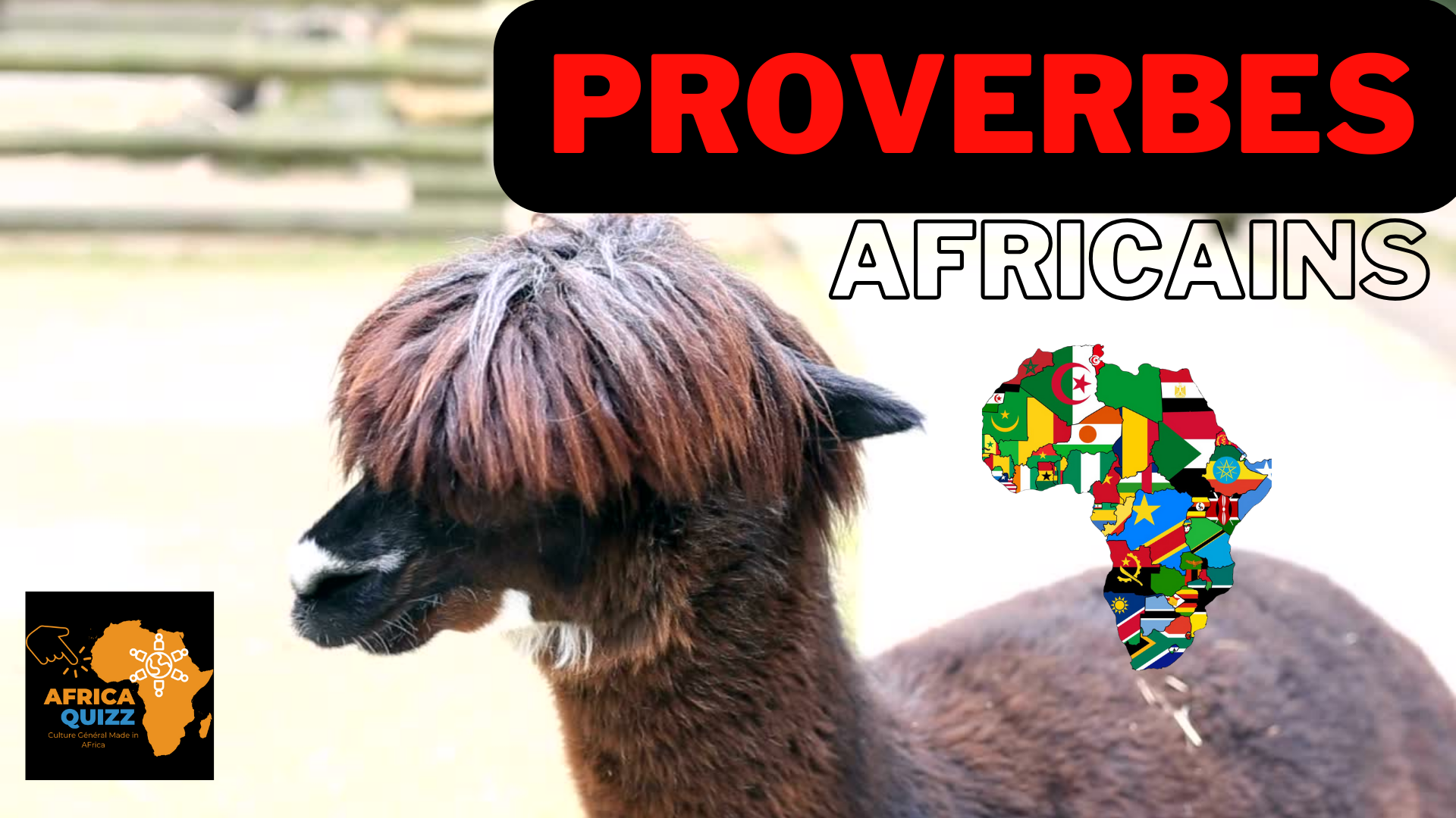 Proverbes africains: Episode 1