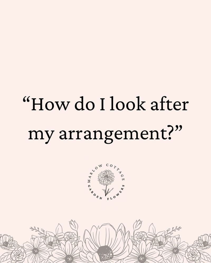 Marlow Cottage Garden Flowers