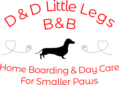 D&D Little Legs B&B