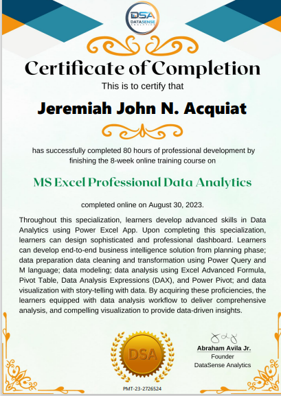 MS Excel Professional Data Analytics