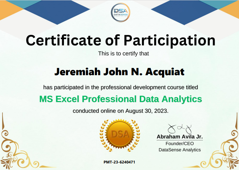 MS Excel Professional Data Analytics