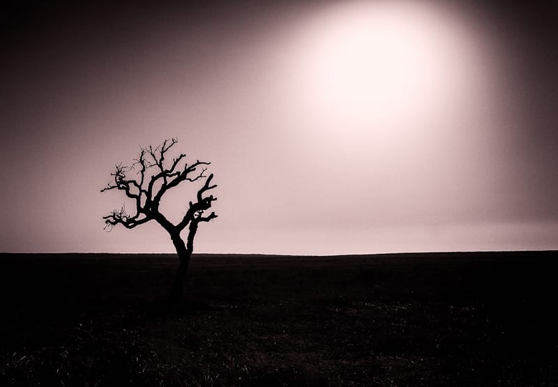 Little Mesmerisms_Works