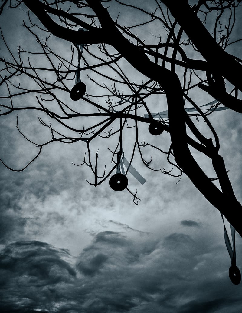 Little Mesmerisms_Works