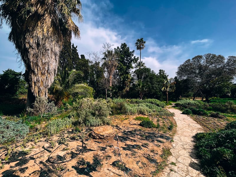 One of the first and largest universities in Greece