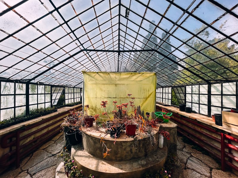 One of the first and largest universities in Greece