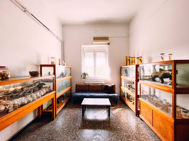 One of the first and largest universities in Greece