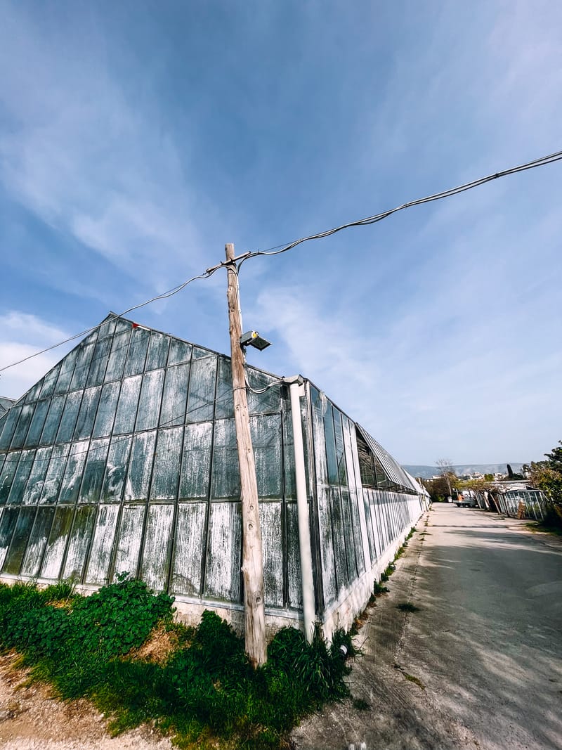 One of the first and largest universities in Greece