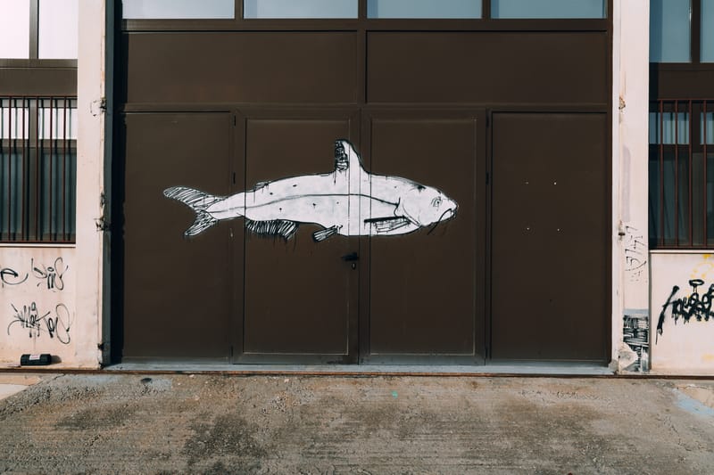 One of the first and largest universities in Greece