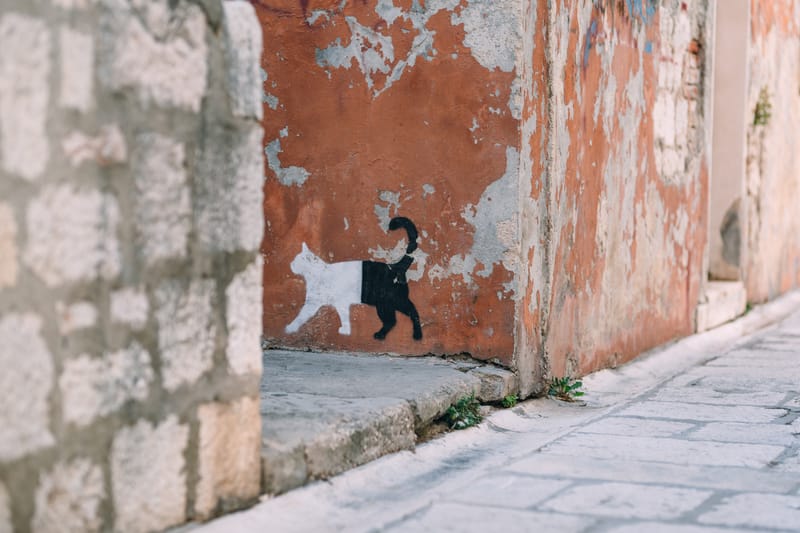 Early September in the bustling town of Zadar