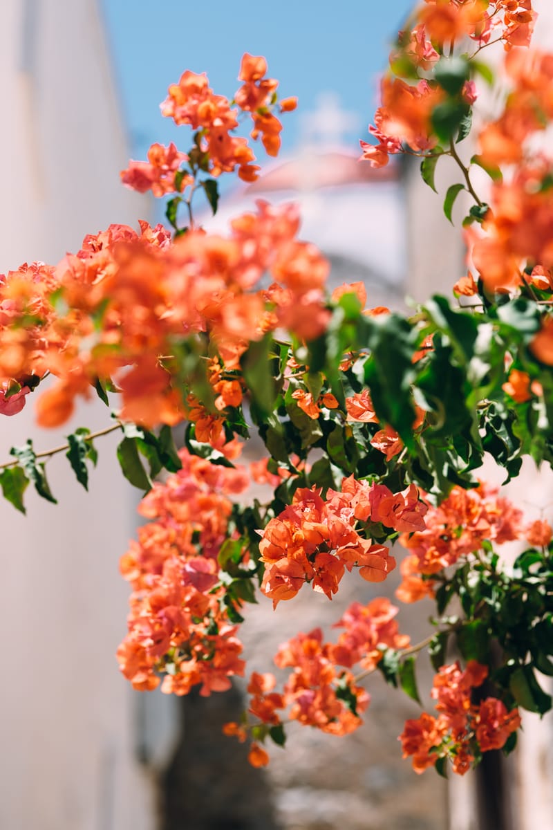 Walking through the medieval settlement of Ano Syros