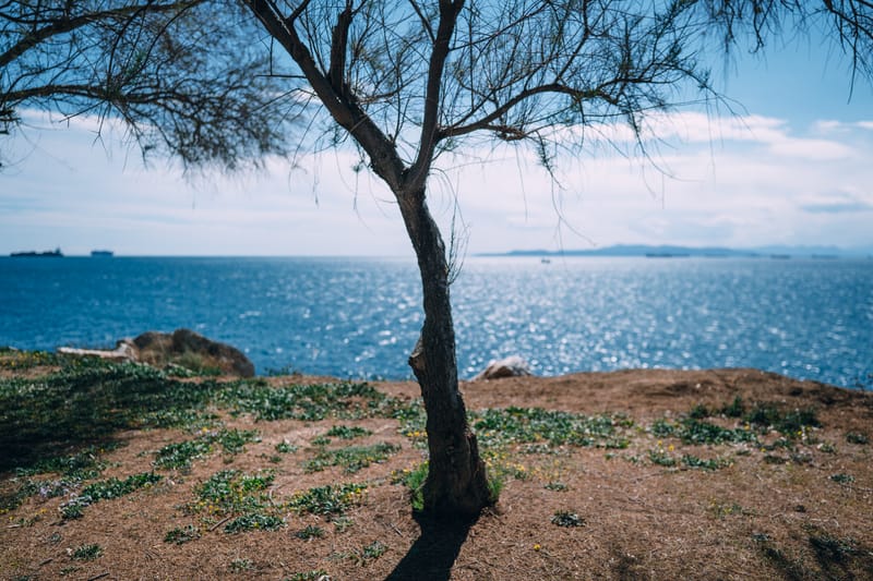 Psytalleia island just of the coast of Athens is home to a waste treatment installation.